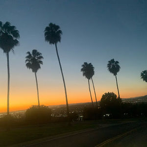 Meet your Posher, Joey medina